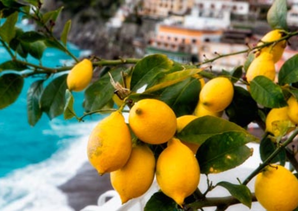 Inspiration in Italy